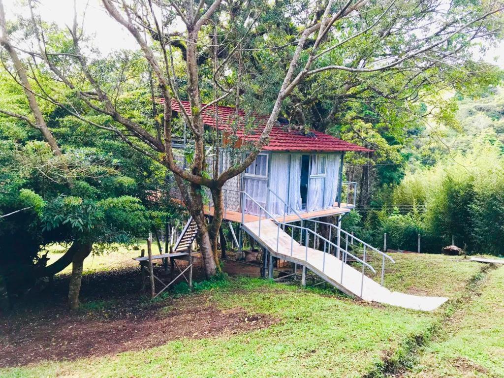Cabana Treehouse Mountain View San Isidro  Luaran gambar