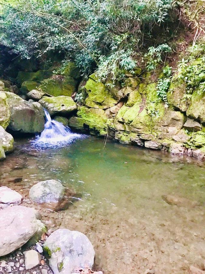 Cabana Treehouse Mountain View San Isidro  Luaran gambar