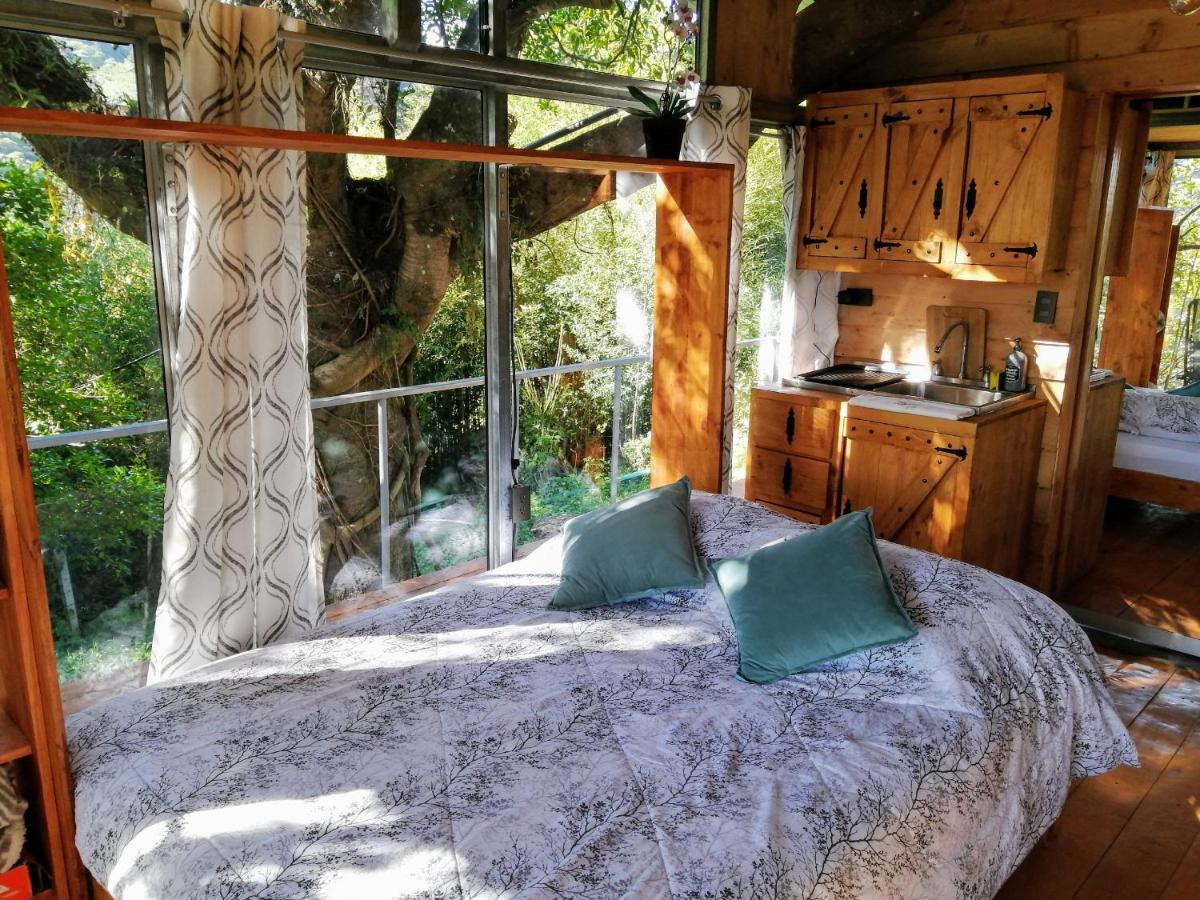 Cabana Treehouse Mountain View San Isidro  Luaran gambar